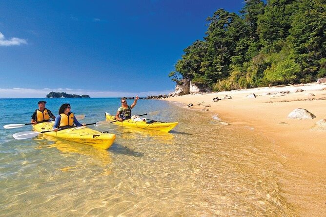 Kayak & Pitt Head Nature Loop - Guided Kayak & Unguided Walk - New Zealand - Kayaking Through the Abel Tasman