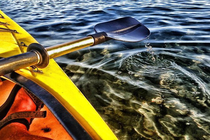 Kayak Rental Adventure in Watersports Santorini - Included Amenities and Gear