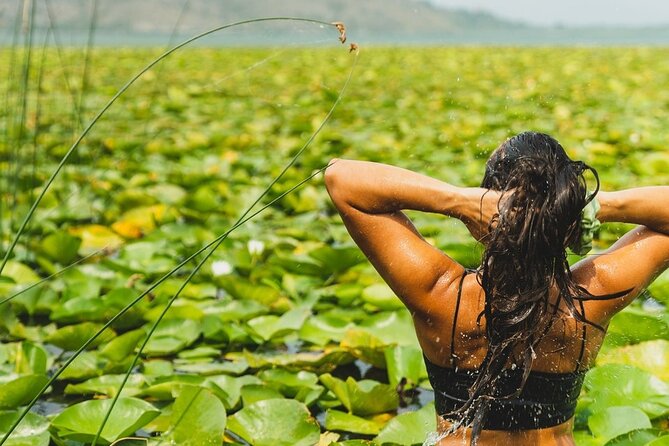 Kayak Rental Adventure Through Lake Skadar From Virpazar - Key Points