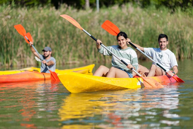 Kayak Rental - Customer Feedback and Reviews