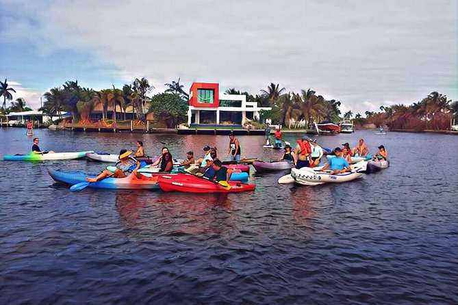 Kayak Rental: Explore Mangroves and Self-Navigated River Eco Paddle - Pickup and Meeting Point Details