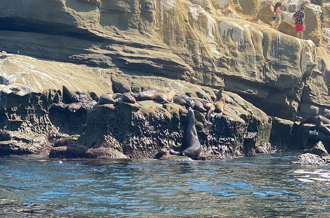 Kayak Rental For 2 (2 hour tandem kayak in La Jolla) - Frequently Asked Questions