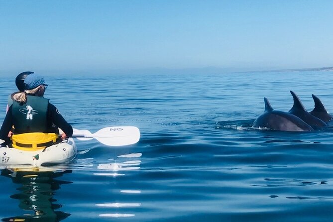 Kayak Rental for Two People in La Jolla - Kayaking Restrictions and Limitations