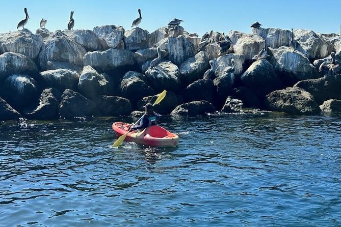 Kayak Rental in Redondo Beach, USA - Participation Requirements