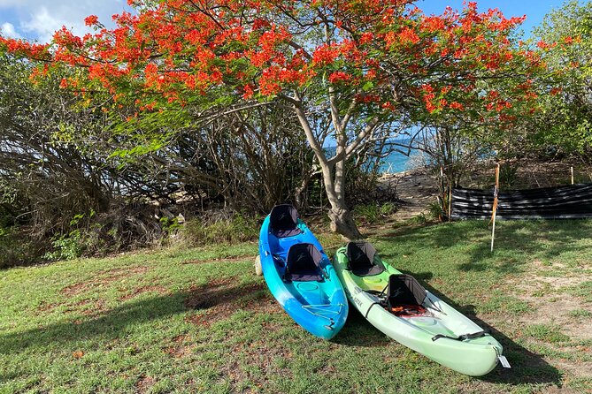 Kayak Rental on Saint Croix - Rental Rates and Guarantees