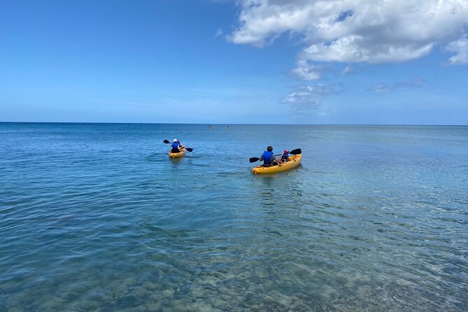 Kayak Rental on Saint Croix - Health Recommendations for Participants