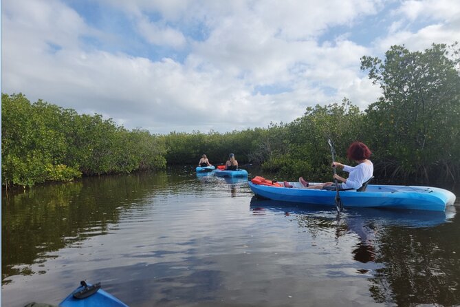 Kayak Rentals - Highlights of the Experience