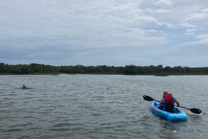 Kayak Rentals - Exploring the Waterways