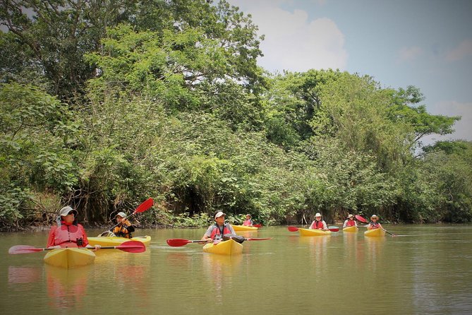 Kayak Safari - Key Points