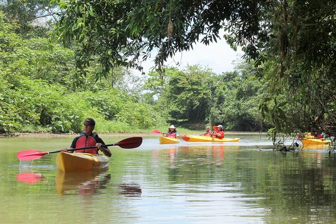 Kayak Safari - Meeting and Pickup