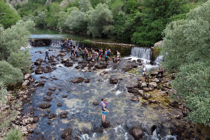 Kayak Safari on Cetina River - Flora and Fauna