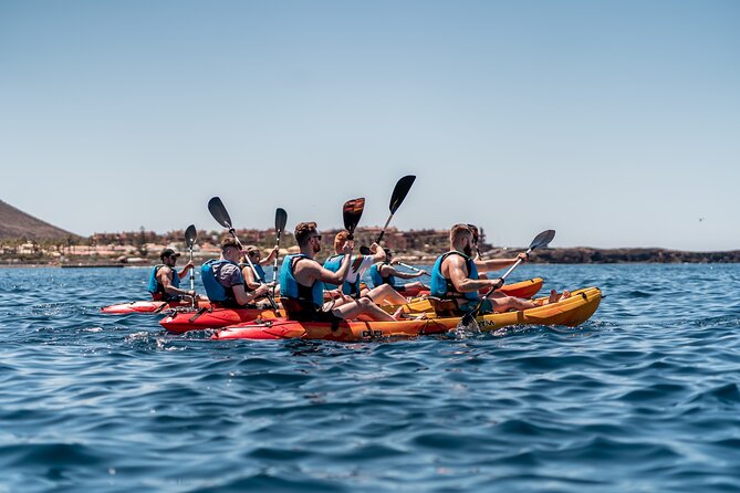 Kayak Safari & Snorkel - Exploring Tenerife by Kayak