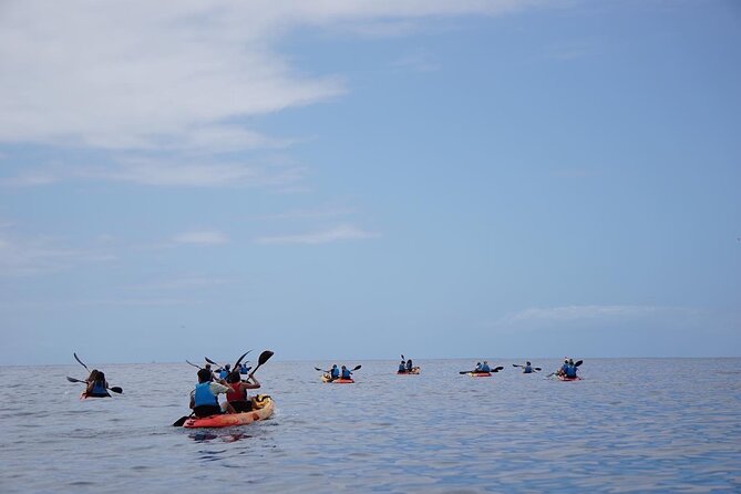 Kayak Safari & Snorkel - Cancellation Policy