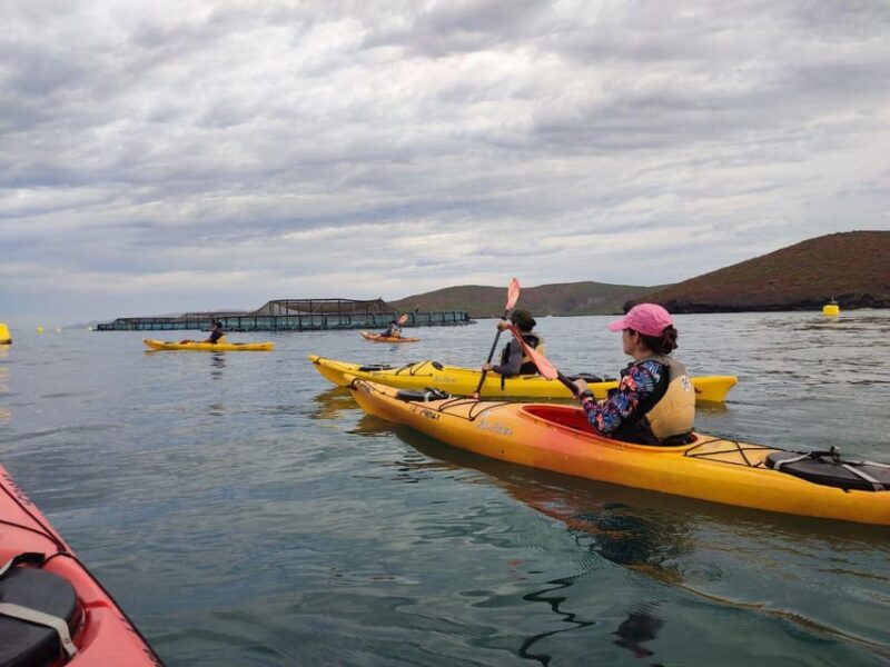 KAYAK SAFARI - Experience Highlights