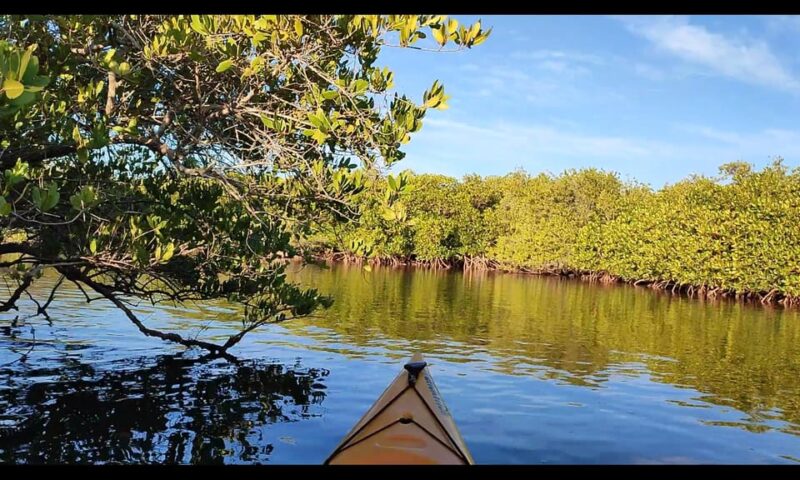 KAYAK SAFARI - Tour Duration