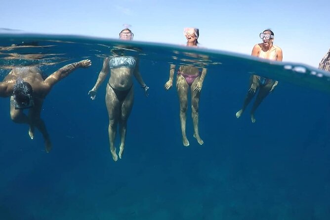 Kayak Safari With Dolphin and Turtle Watching in Guaza - Meeting and Pickup Logistics