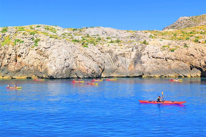 Kayak Secret Beach - Spotting Local Wildlife