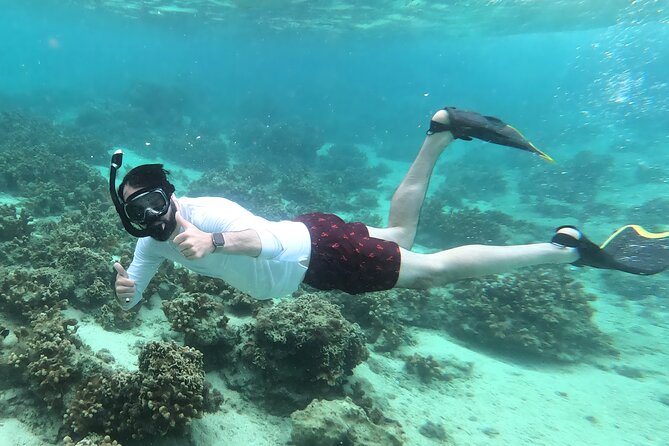 Kayak & Snorkel: Private Tour in Yanbaru, North Okinawa - Exploring Yanbarus Untouched Coastline