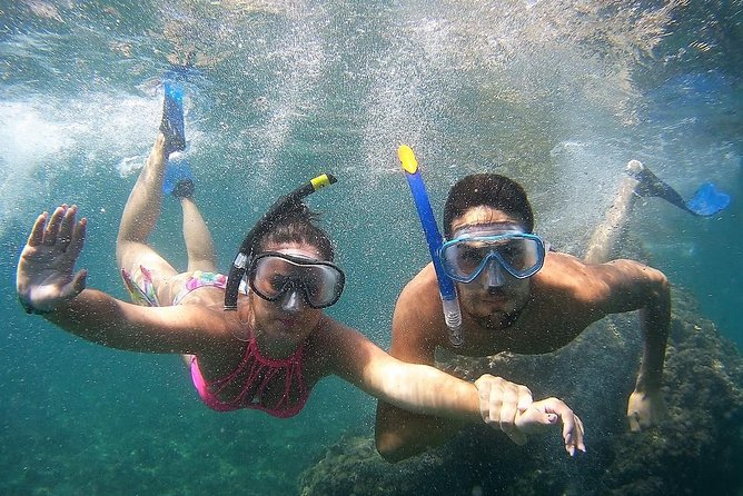 Kayak & Snorkel Tour in Cerro Gordo Natural Park, La Herradura - Included Amenities and Gear