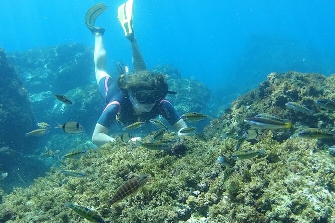 Kayak & Snorkel Tour in Cerro Gordo Natural Park, La Herradura - Cancellation and Refund Policy