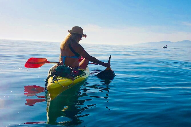 Kayak & Snorkel Tour in Cerro Gordo Natural Park, La Herradura - Additional Information