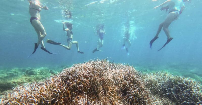 Kayak & Snorkel Tour in the Bay of Sant Elm - Key Points