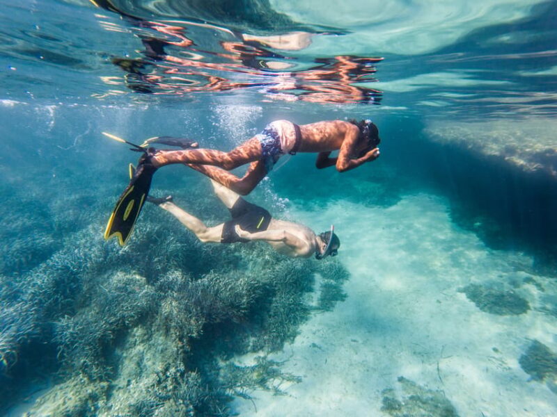 Kayak & Snorkel Tour in the Bay of Sant Elm - Discover the Picturesque Village and Underwater World