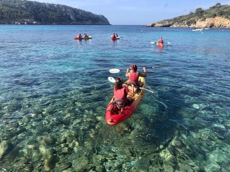 Kayak & Snorkel Tour in the Bay of Sant Elm - Tour Inclusions and Requirements