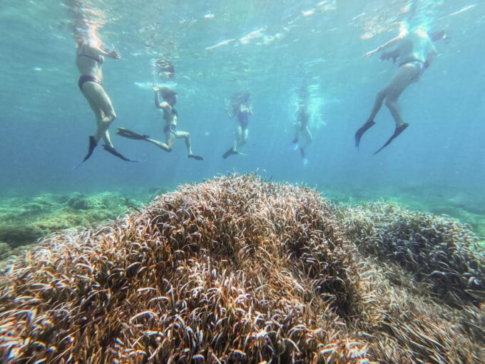 Kayak & Snorkel Tour in the Bay of Sant Elm - Customer Feedback