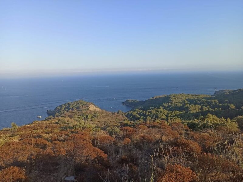 Kayak & Snorkel Tour to Costa Brava - Participant Restrictions