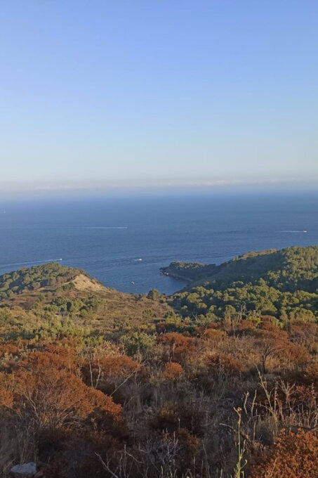 Kayak & Snorkel Tour to Costa Brava - Frequently Asked Questions