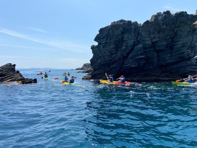 Kayak & Snorkel Tour to Platja De Lalmadrava in Roses - Inclusions and Exclusions