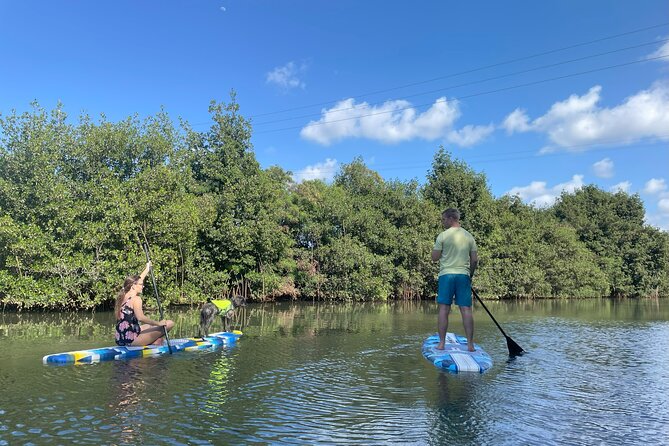 Kayak Stand Up Paddle Board SUP Rental - Customer Reviews and Ratings