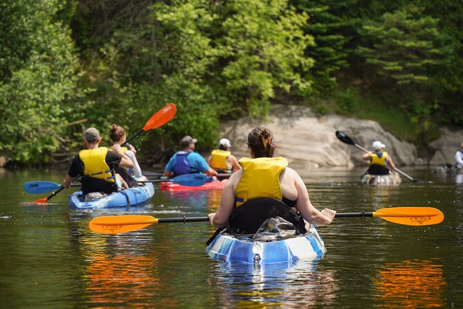Kayak & Summit Tour - Ottawa Day Trip - Scenic Ride to the Observation Tower