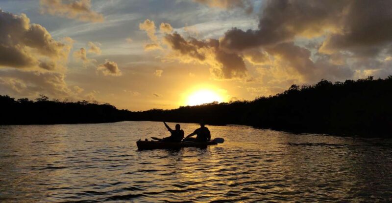 Kayak Sunset in the Lagoon Nichupte by Wayak - Highlights of the Experience