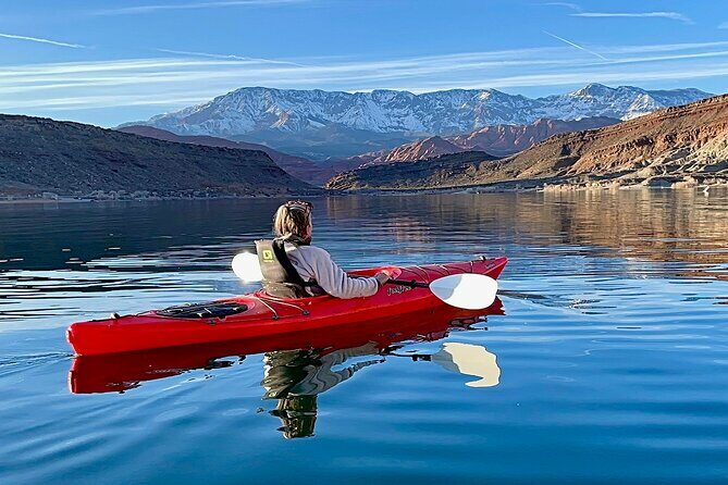 Kayak/SUP Tour: Birds, Beavers, Turtles, maybe even Cliff Jumping - The Value Proposition