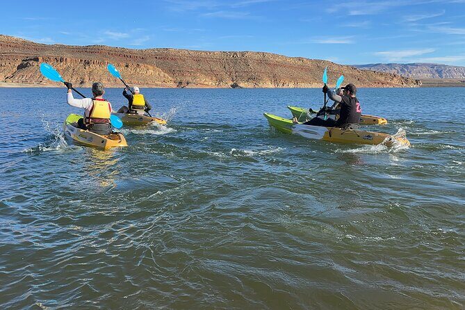 Kayak/SUP Tour: Birds, Beavers, Turtles, maybe even Cliff Jumping - Who Will Love This Tour?