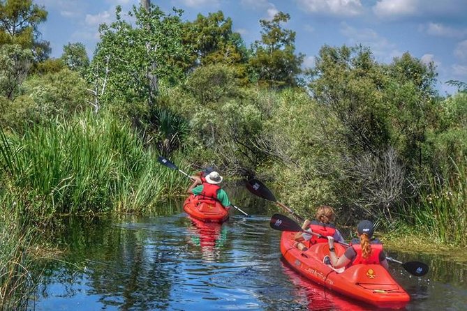 Kayak Swamp Tour With Transportation From New Orleans - Whats Included in the Tour