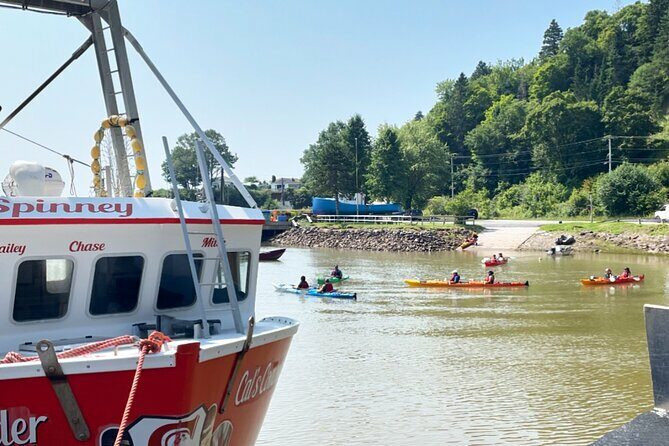 Kayak the Bay of Fundy Sea Caves - Introduction