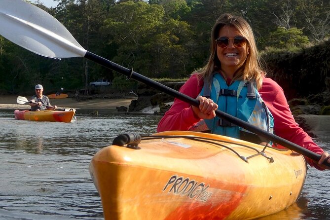 Kayak The Creek Nature Tour - Customer Feedback and Experiences