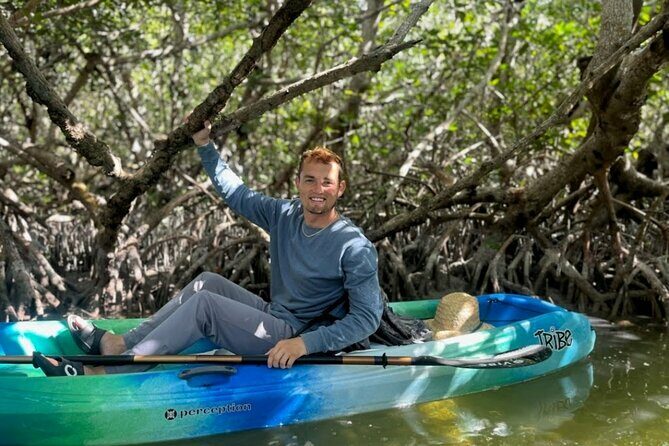 Kayak through Mangrove Forests in the Florida Keys - An Introduction to the Experience