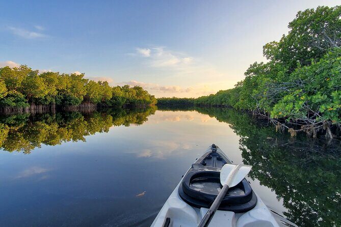 Kayak through Mangrove Forests in the Florida Keys - Analyzing the Value and Practicalities