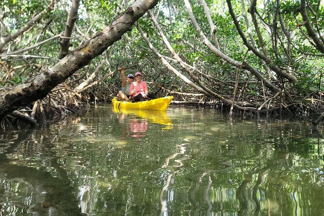 Kayak through Mangrove Forests in the Florida Keys - Final Thoughts