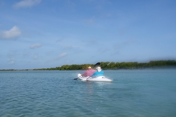 Kayak Through Mangroves to Secret Beach - Guided Kayaking Experience