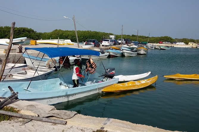 Kayak Through Mangroves to Secret Beach - Accessibility and Fitness Level