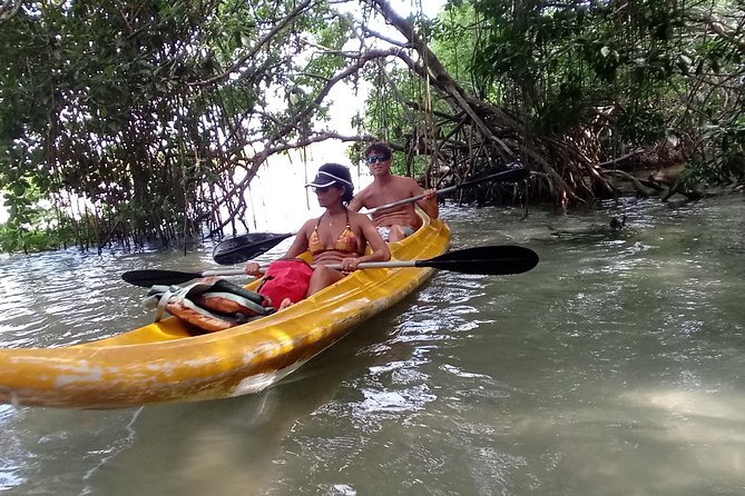 Kayak Through Mangroves to Secret Beach - Wildlife Sightings and Encounters