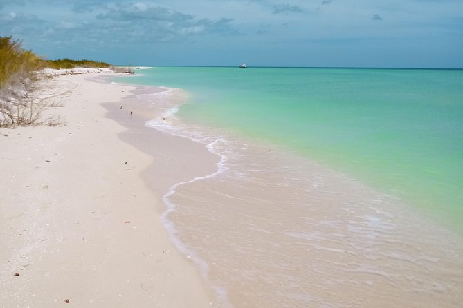 Kayak Through Mangroves to Secret Beach - Customer Ratings and Feedback