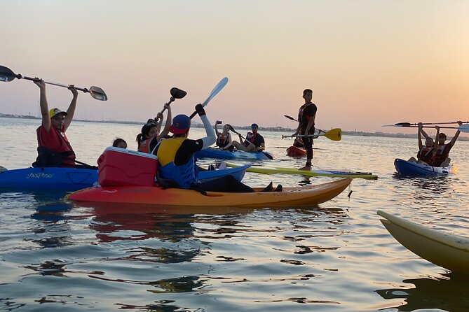 Kayak Through the Mangroves to the Purple Island - What to Expect