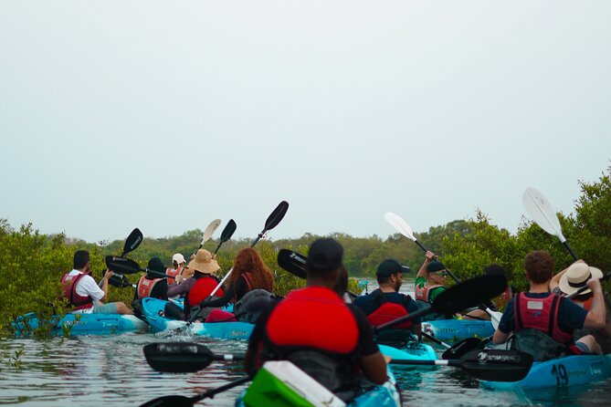 Kayak Through the Mangroves to the Purple Island - Inclusions and Amenities