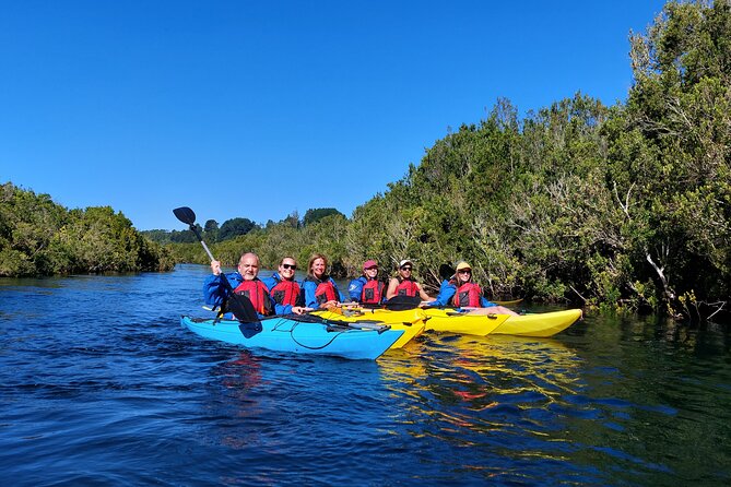 Kayak Through the Sunken Forest of the Maullín River - Experience Highlights